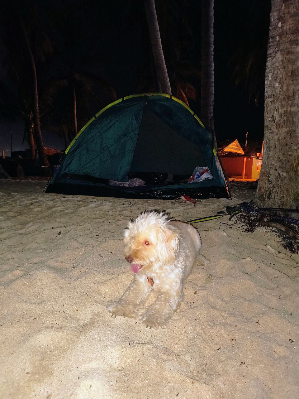 Camping en la playa premium