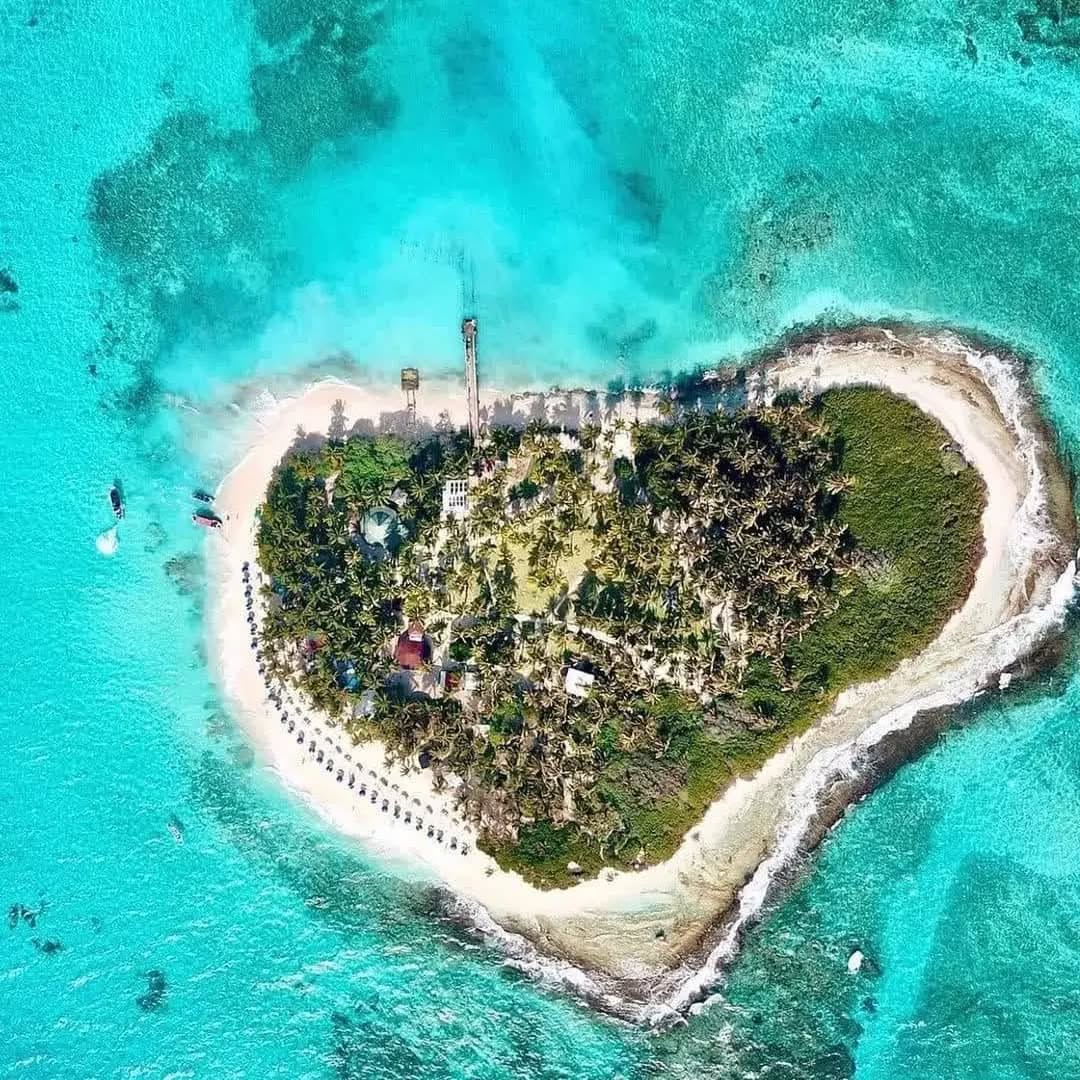 Acuario + Johnny Cay + Manglares SUPER FULL VIP

Tres experiencias en un solo día: naturaleza, playa y magia caribeña.