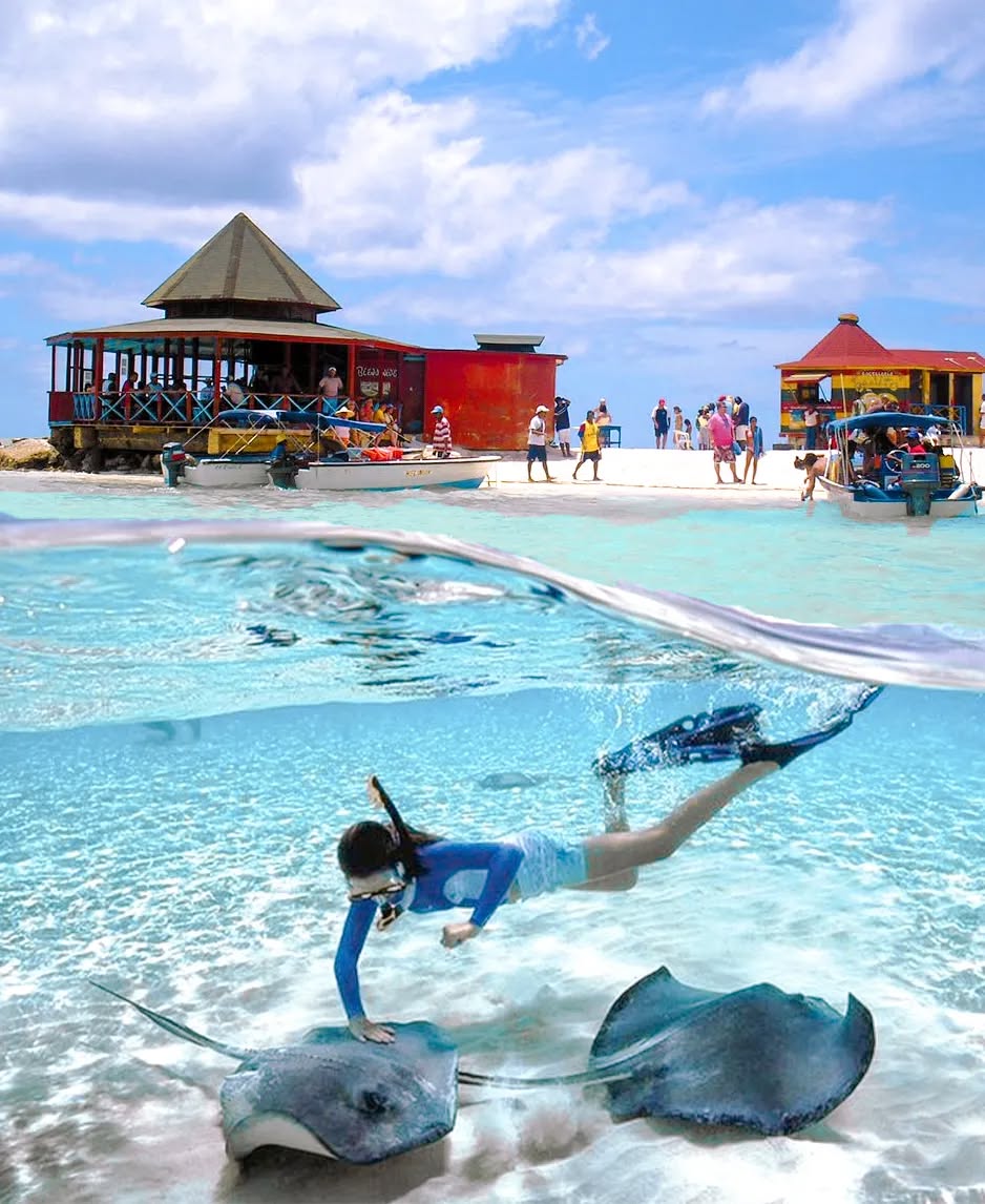 ACUARIO DIRECTO – MAR CRISTALINO SIN ESCALAS

Llega directo al banco natural y disfruta el Acuario sin paradas adicionales.