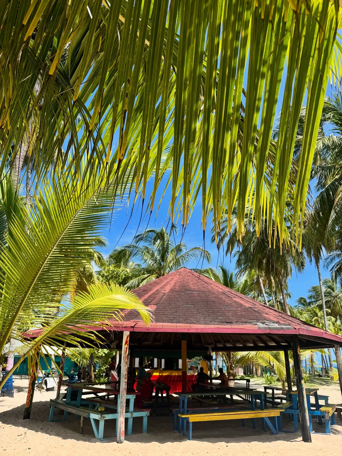 🌴  Johnny + Cay Acuario– Dos Paraísos en Un Solo Día

Vive el Acuario Mágico y disfruta la energía vibrante de Johnny Cay.