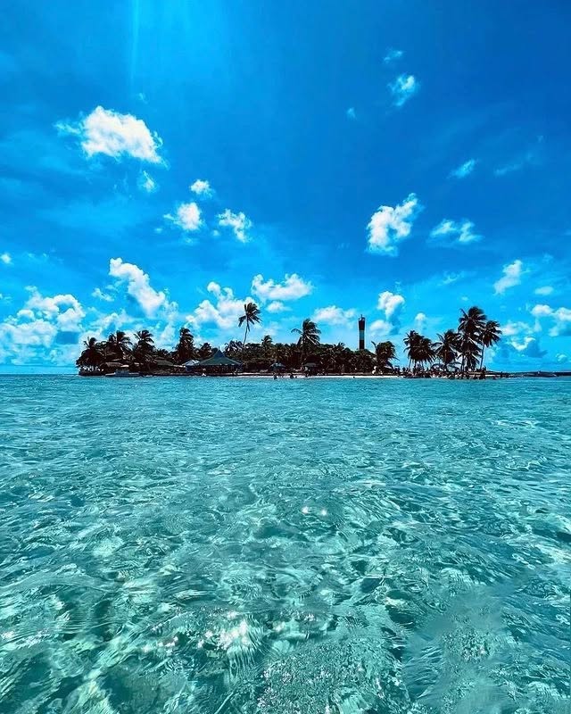 🌴  Johnny + Cay Acuario– Dos Paraísos en Un Solo Día

Vive el Acuario Mágico y disfruta la energía vibrante de Johnny Cay.