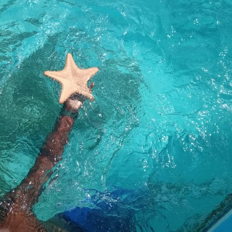 Acuario + Johnny Cay + Manglares SUPER FULL VIP

Tres experiencias en un solo día: naturaleza, playa y magia caribeña.